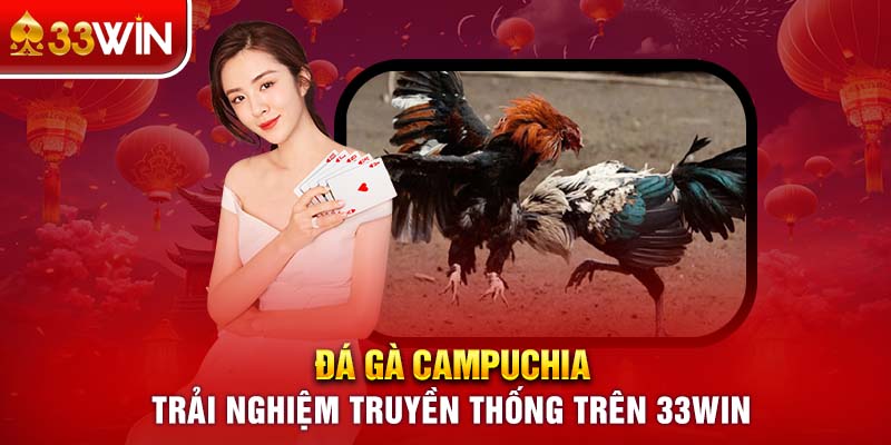 Đá Gà Campuchia - Trải Nghiệm Truyền Thống Trên 33Win