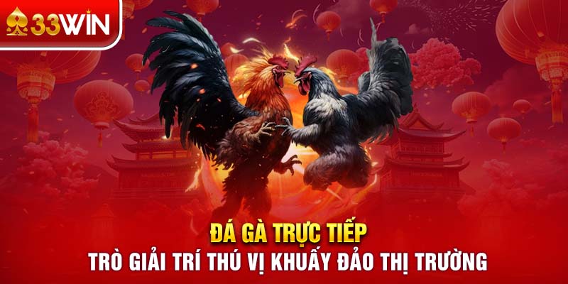 Đá Gà Trực Tiếp - Trò Giải Trí Thú Vị Khuấy Đảo Thị Trường