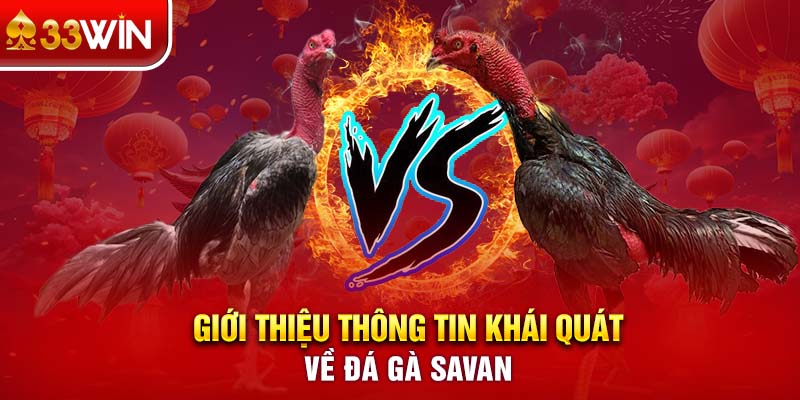 Giới thiệu thông tin khái quát về đá gà Savan