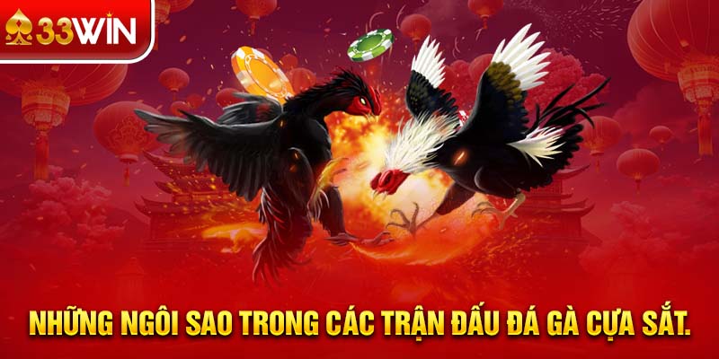 Những ngôi sao trong các trận đấu đá gà cựa sắt