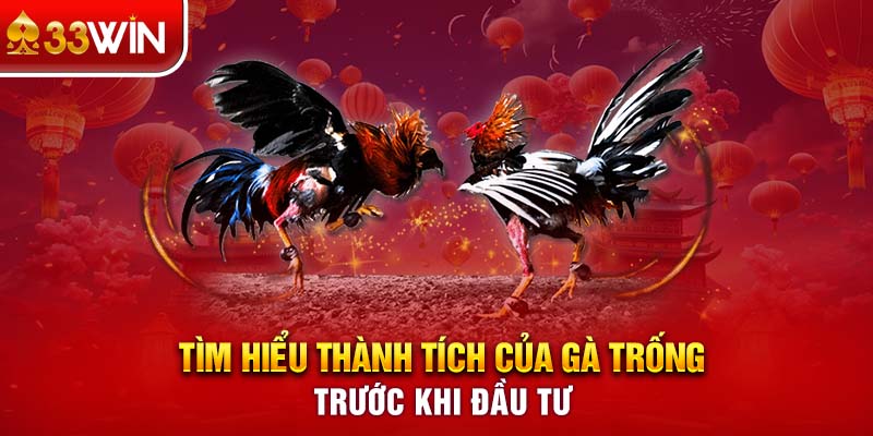 Tìm hiểu thành tích của gà trống trước khi đầu tư